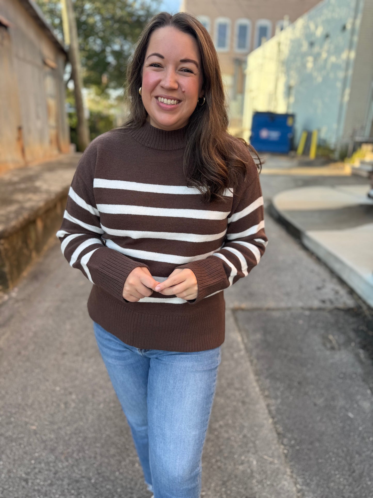 Simple Striped Sweater in Brown