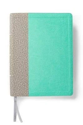 Lifeway Women’s Bible CSB mint/gray leathertouch