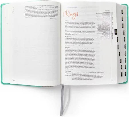 Lifeway Women’s Bible CSB mint/gray leathertouch