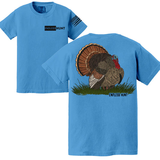 Youth Field Thunder - Royal Caribbean - EHY